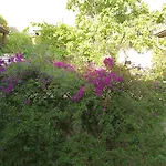 Janas Baunei