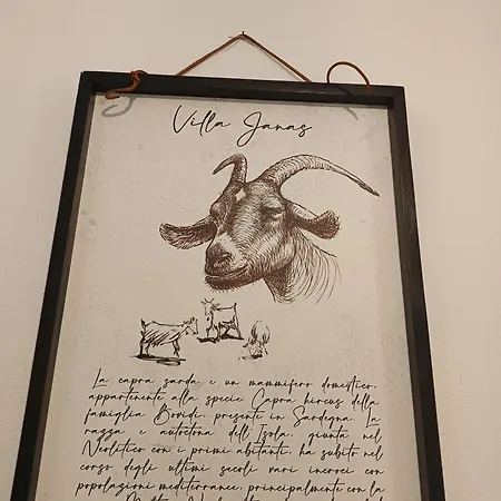 Janas Lägenhet Baunei